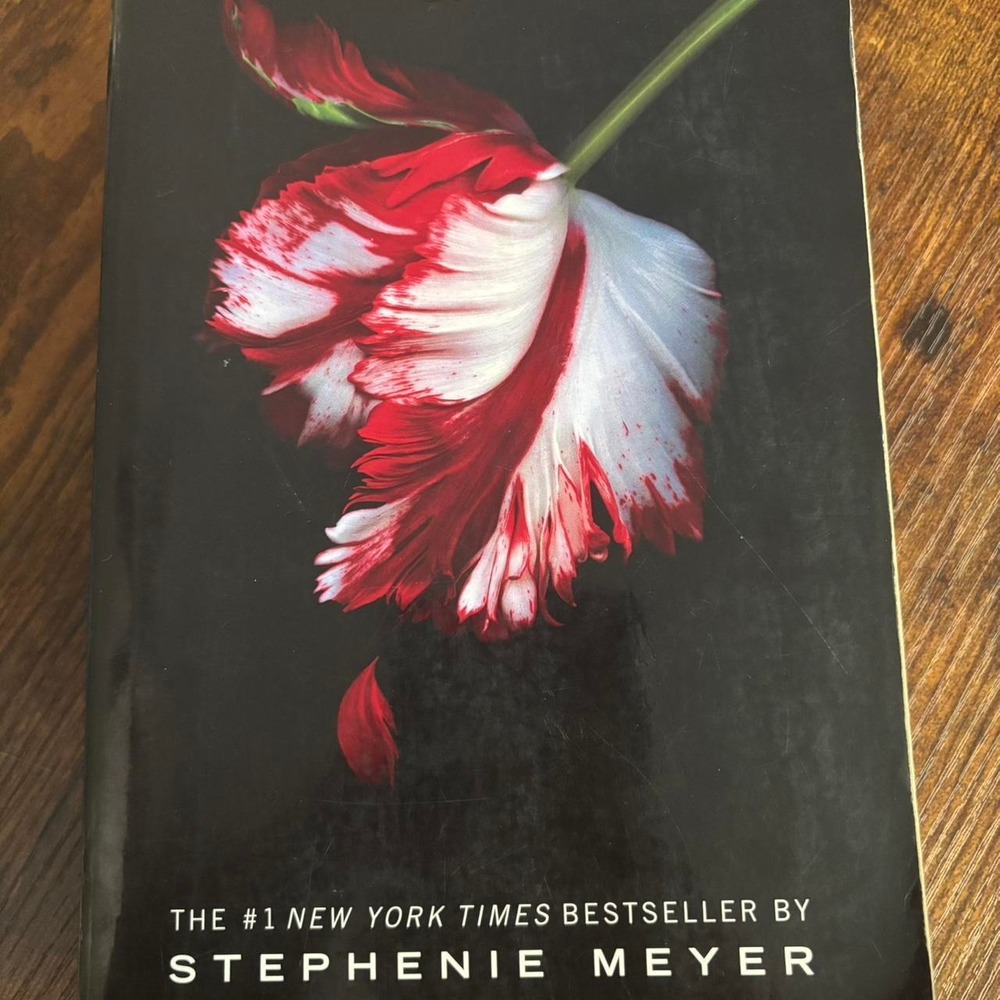 Twilight Saga: New Moon paperback